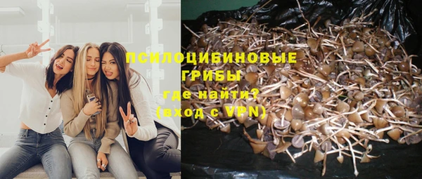 2c-b Зерноград