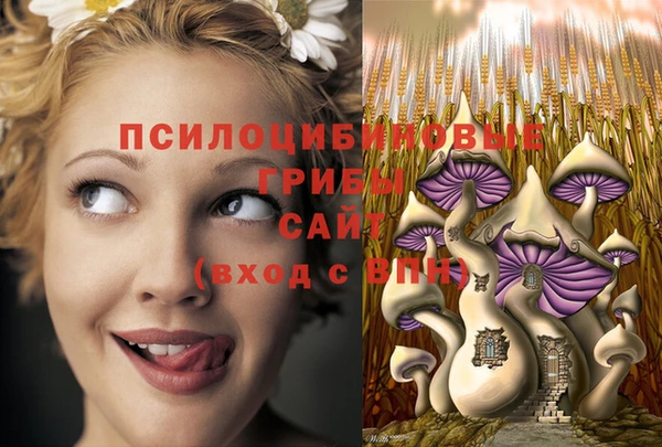 марки lsd Инта